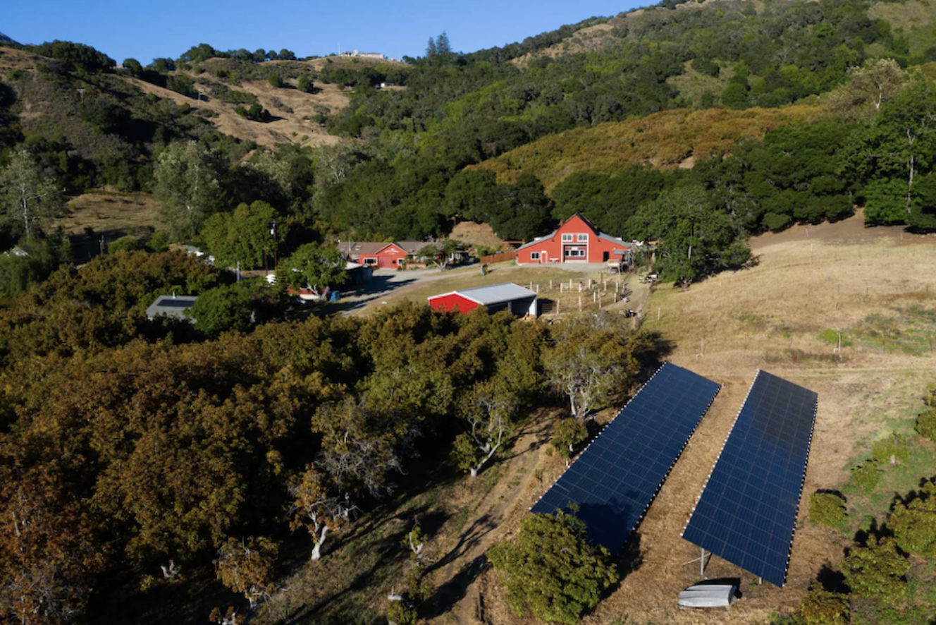 Stepladder Creamery Paso Vino Tomales Bay Foods