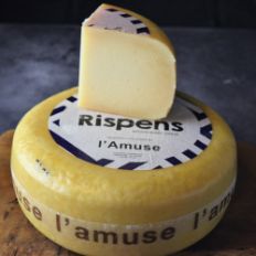 Essex_Rispens