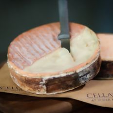 JasperHill_Winnemire