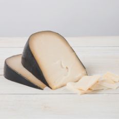 Cypress_MidnightMoon