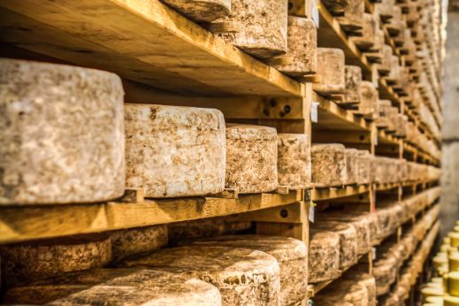 CJH Cellars 20120630 - 0022