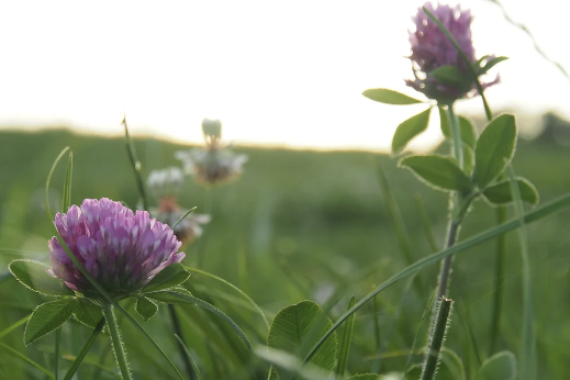 Screenshot 2023-06-28 at 11.36.09 AM