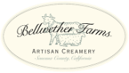 bellwether_logo